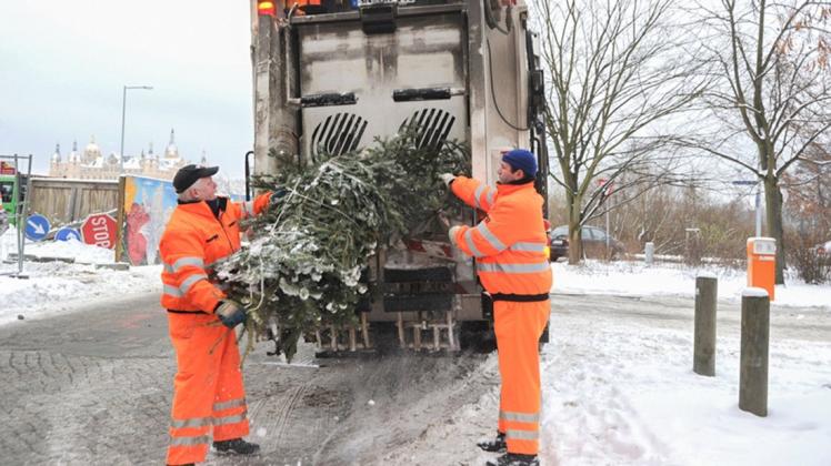 SAS-Mitarbeiter holen die Weihnachtsbäume von den Sammelstellen im gesamten Stadtgebiet ab.