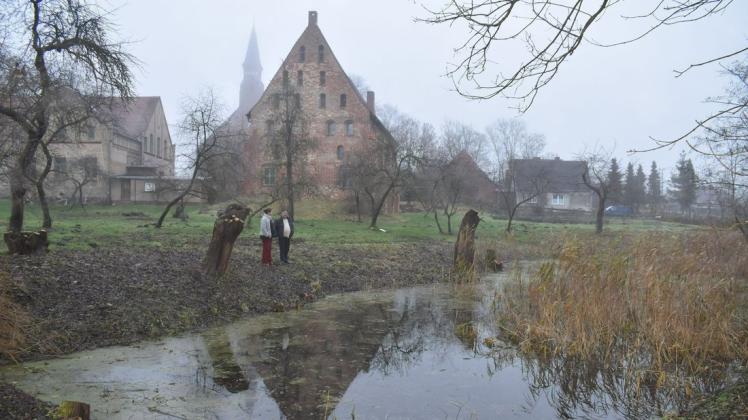 So viel Wasser wie lange nicht hat sich im großen Teich des Tempziner Klostergartens gesammelt.
