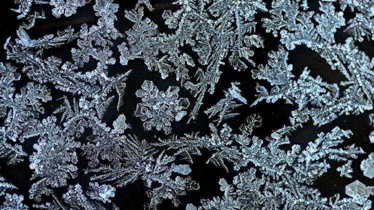 Bei einer Temperatur von minus zehn Grad Celsius haben sich Eiskristalle, umgangssprachlich auch Eisblumen genannt, an einem Fenster gebildet.