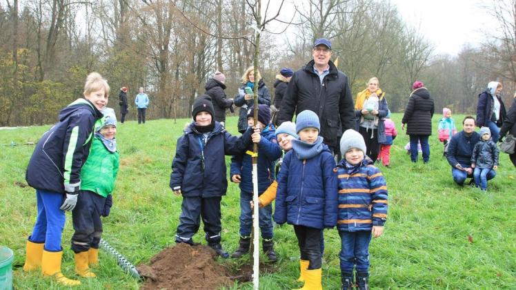 Großhansdorfer pflanzen 70 seltene Obstbäume auf Streuobstwiese