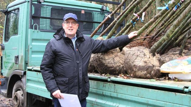 Großhansdorfer pflanzen 70 seltene Obstbäume auf Streuobstwiese