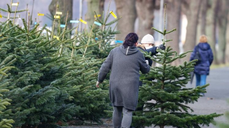 Die meisten Weihnachtsbäume werden beim Händler gekauft. Die Deutschen greifen dabei vor allem zur Nordmanntanne.