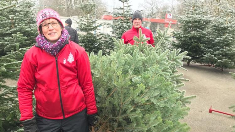 Die Nordmanntanne ist besonders beliebt als Weihnachtsbaum. Ines und Guido Meyer verkaufen Bäume, die sie frisch geschlagen haben.