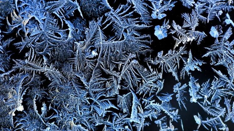 Eisblumen, wie sie Franziska Kolm mit der Kamera festgehalten hat, werden in den kommenden Tagen wohl nicht mehr erblühen.