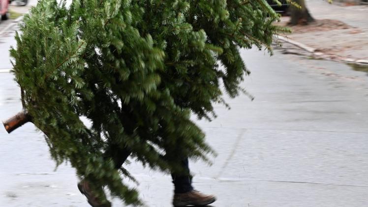 Im Januar wird es Zeit, den Weihnachtsbaum loszuwerden. Die Glandorfer können sich bei der Entsorgung auf die KAB verlassen. (Symbolfoto)