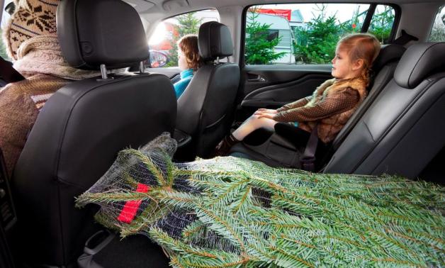 So nicht: Der Baum muss mit dem Stamm voraus transportiert und verzurrt werden So nicht: Der Baum muss mit dem Stamm voraus transportiert und verzurrt werden