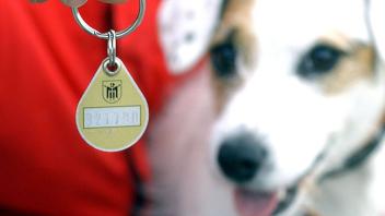 Lotte erhöht ab kommenden Jahr die Hundesteuer.