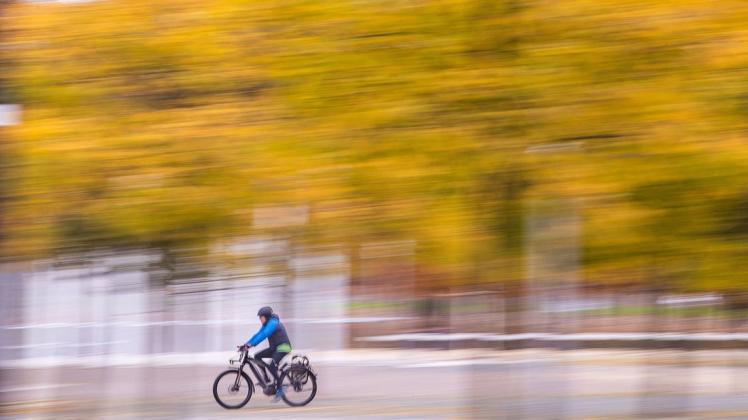 Sowohl Fahrradfahren als auch der Erhalt von Bäumen sind nachhaltig für das Klima. Müssen für mehr Radwege Bäume gefällt werden, hilft kein Schwarz-Weiß-Denken, meint Redakteur Stefan Menzel.