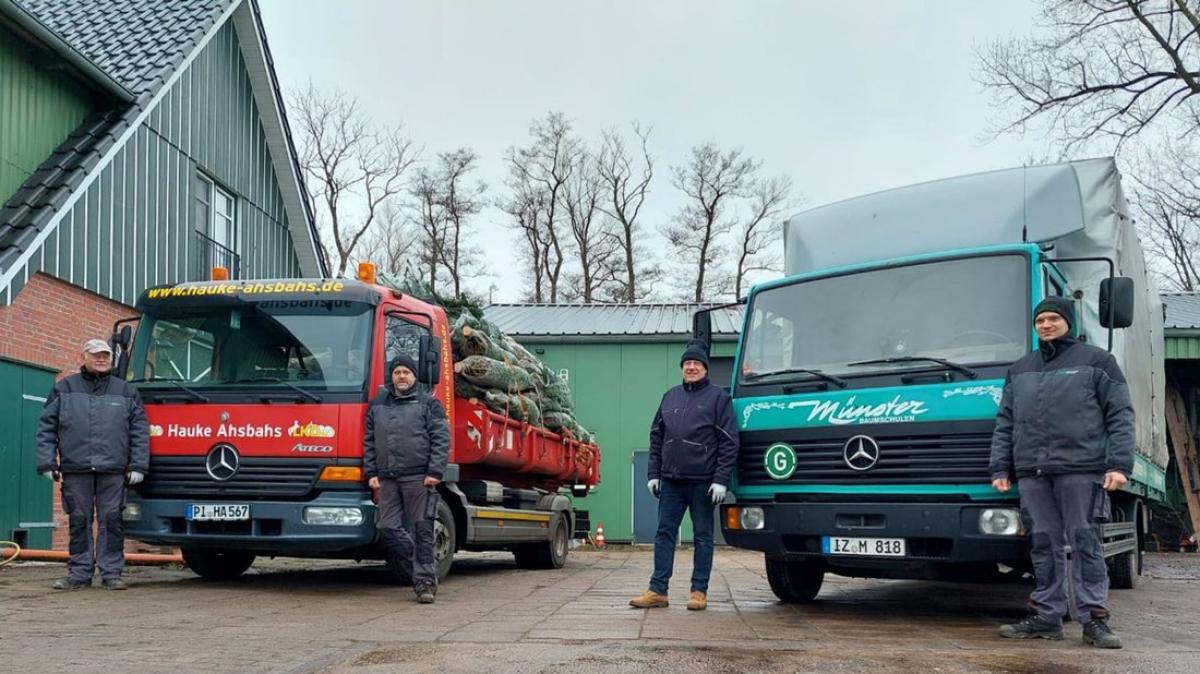 Initiative aus Altenmoor fährt 450 Weihnachtsbäume ins Ahrtal