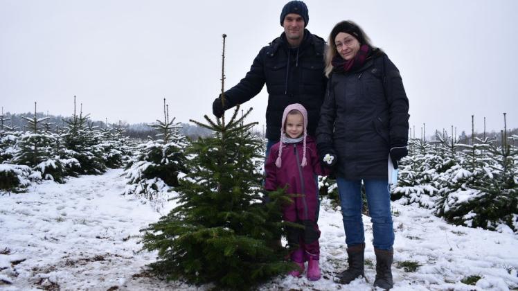 Für die Weihnachtszeit haben sich Sebastian, Greta und Anita Piwko eine Nordmanntanne aus Lüdershagen ausgesucht.