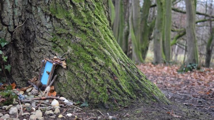 Der Lockhausener Wald wird von Wichteln bewohnt, nachdem der Kinderclub ha|lo ihnen eine kleine Siedlung errichtet hat. Der Lockhausener Wald wird von Wichteln bewohnt, nachdem der Kinderclub ha|lo ihnen eine kleine Siedlung errichtet hat.