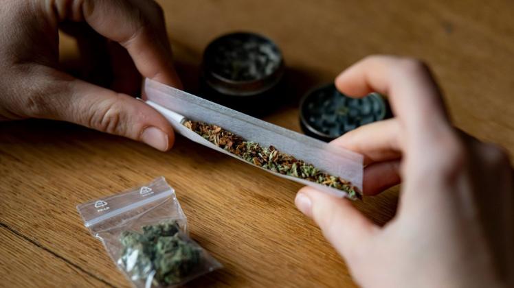 Wie kann man den Drogenkonsum sicherer gestalten? Cannabis-Berater wissen alles über die verschiedenen Sorten, die Qualität und Wirkungen von "Gras".