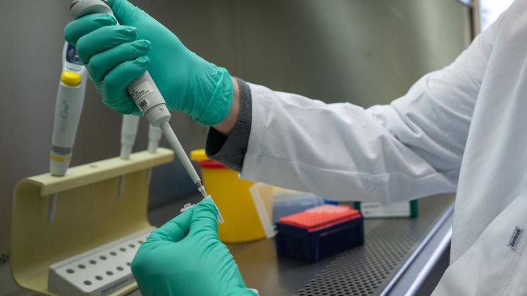 Die PCR-Testung wurde im Abstrichzentrum der Universitätsmedizin Rostock durchgeführt.