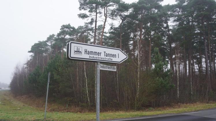 Die zweite Erweiterungsfläche für das Gewerbegebiet Hammer Tannen in Haselünne liegt zwischen Industriestraße und der Kreisstraße 270. 
