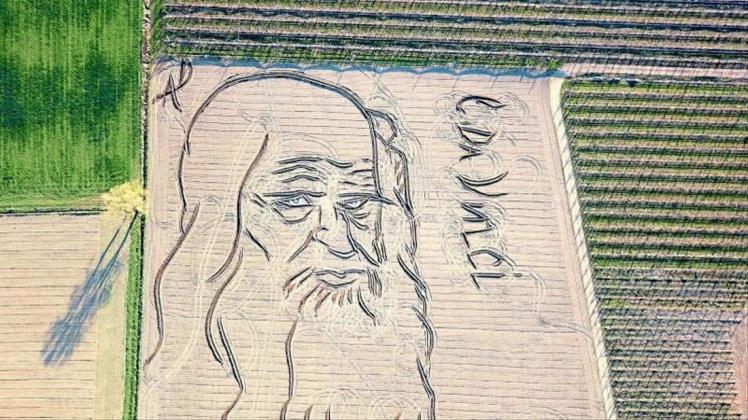 Auf einer Fläche von 27.000 Quadratmetern hat der Künstler und Landwirt Dario Gambarin ein Porträt von Leonardo da Vinci in ein Feld &quot;gezeichnet&quot;. 
