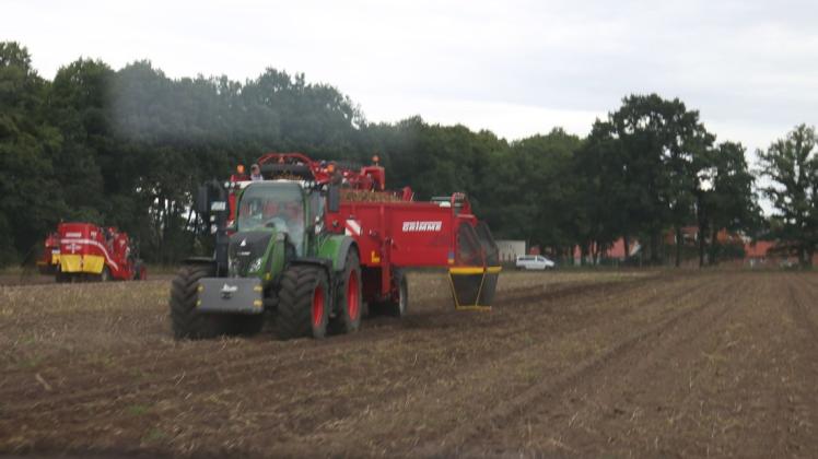 Kartoffelernte bei den Elbtalern. Noch bis Oktober sollen die wertvollen Knollen eingefahren werden.