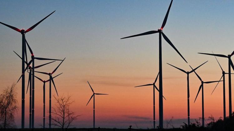Windpark im Landkreis Oder-Spree: Der Ausbau der Erneuerbaren Energien kostet sehr viel Geld. Die Linken im Bundestag kritisieren nun, die Kosten seien in zu starkem Maß auf die Privathaushalte abgewälzt werden.