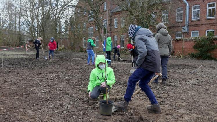 Breklum Auf dem Campus Breklum entsteht ein Garten der Sinne