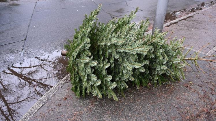 In Bad Laer werden die alten Weihnachtsbäume an zwei Samstagen im Januar 2022 abgeholt. (Symbolbild)