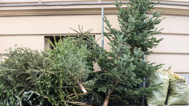 Nur im Vorfeld einer Abholaktion dürfen ausgediente Weihnachtsbäume an die Straße gestellt werden. Im Bad Iburger Ortsteil Glane findet eine solche Aktion am 15. Januar statt.