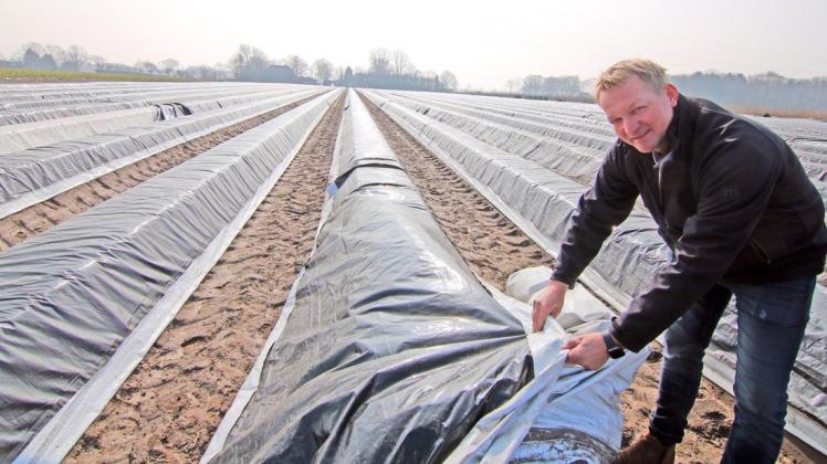 Markus Wempe lupft eine der Folien über den Spargelreihen: Mitte April soll wieder der Verkauf des Edelgemüses auf seinem Hof in Hoyerswege starten. Markus Wempe lupft eine der Folien über den Spargelreihen: Mitte April soll wieder der Verkauf des Edelgemüses auf seinem Hof in Hoyerswege starten.