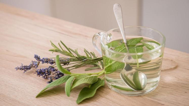 Der antibakteriell wirkende Salbei schmeckt gut im Tee mit Rosmarin und Lavendel.