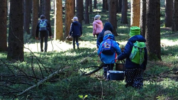 Auf Spurensuche im Wald.