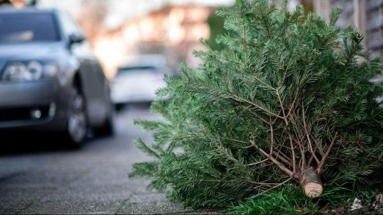 Unbekannte haben in Berge von ausrangierten Weihnachtsbäumen, die von der Jugendfeuerwehr abgeholt werden sollten, das Spendengeld sowie Süßigkeiten gestohlen. (Symbolfoto)