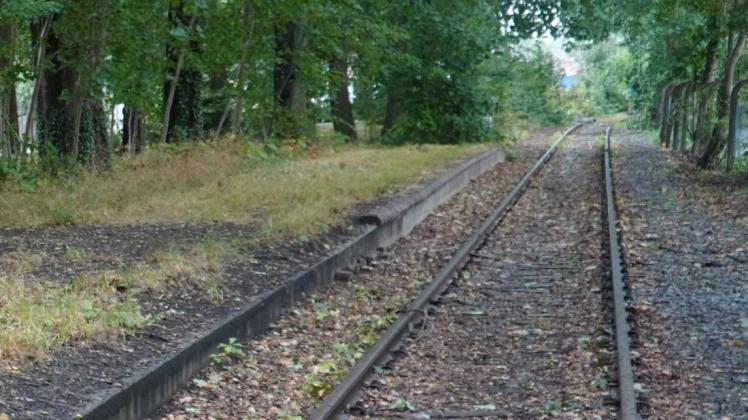 Noch liegt der ehemalige Haltepunkt Gildehaus am Gleis der Bentheimer Eisenbahn im Dornröschenschlaf. Aber in einigen Jahren könnten auf der Strecke wieder Personenzüge in Richtung Gronau fahren.
