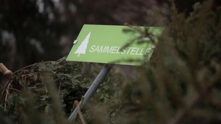 Eine private Initiative hat in Ganderkesee doch noch eine Tannenbaum-Entsorgungsaktion ins Leben gerufen.