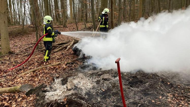Die Feuerwehren aus Lübstorf und Klein Trebbow waren am Sonntag mit einem kleineren Waldbrand beschäftigt.