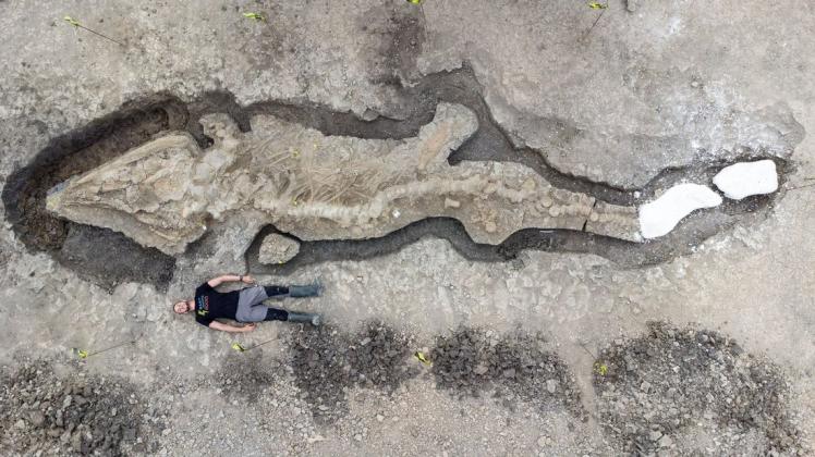 Paläontologe neben dem Ichthyosaurier-Skelett, das im Rutland Nature Reserve gefunden wurde.