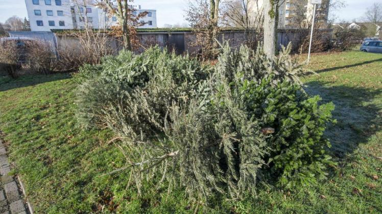 An der Ecke Westerteich/Brökerskamp wurden auch in diesem Jahr wieder illegal Weihnachtsbäume entsorgt.