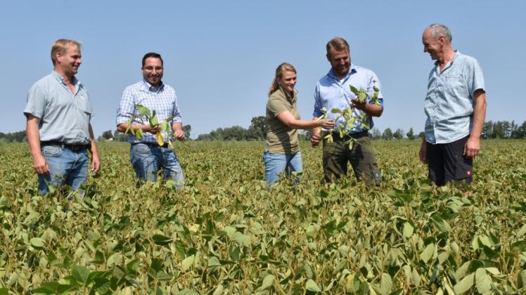 Prignitzer Landwirte wie Kevin Löblich, (2. v. l.) und sein Team von der Agrargenossenschaft Kietz haben bereits mit Sojaanbau in der Prignitz experimentiert.