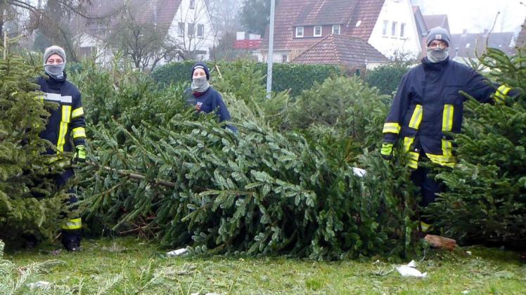 Im Januar 2021 sammelte die Jugendfeuerwehr Lotte, wie hier zu sehen, die alten Weihnachtsbäume ein. Das ist in diesem Jahr aufgrund der Corona-Pandemie nicht möglich. Die für den 8. Januar geplante Abholung findet aber dennoch statt.