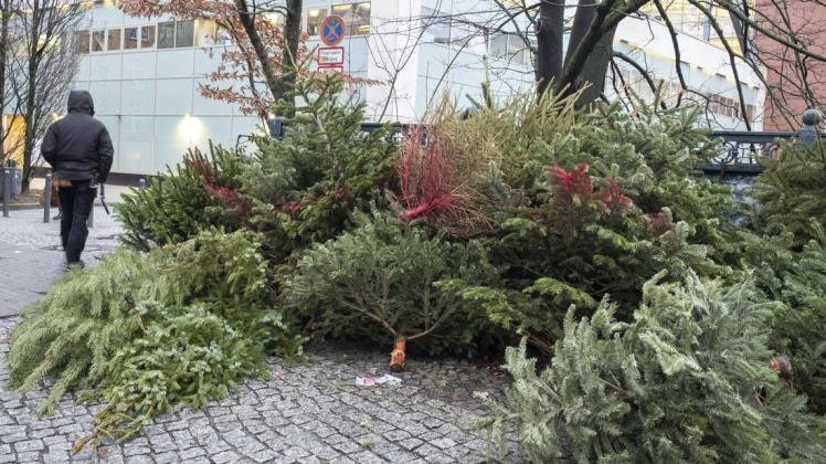 In Belm gibt es keine öffentlichen Flächen, auf denen Weihnachtsbäume abgeladen und entsorgt werden können. Im Januar finden jedoch gleich drei Sammelaktionen im Gemeindegebiet statt, bei denen die Bäume gegen eine kleine Spende abgeholt werden. (Symbolfoto)