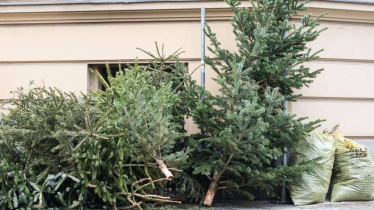 Der Weihnachtsbaum soll für die Sammelaktion gut erkennbar an die Straße gestellt werden. In Hagen sind zwei solcher Aktionen für den 15. Januar geplant. (Symboldbild) Der Weihnachtsbaum soll für die Sammelaktion gut erkennbar an die Straße gestellt werden. In Hagen sind zwei solcher Aktionen für den 15. Januar geplant. (Symboldbild)