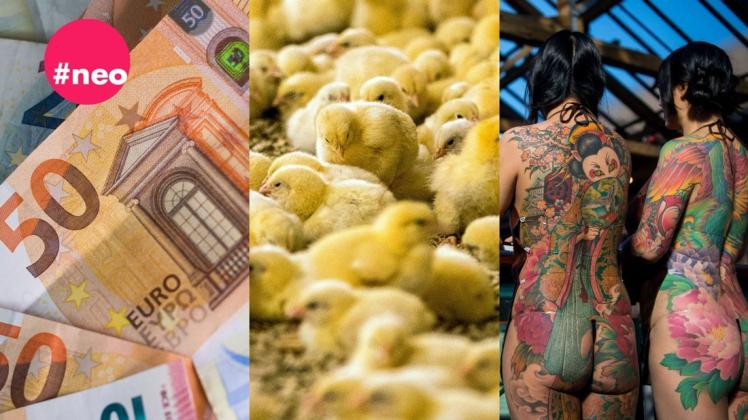 Mehr Geld, kein Schreddern von Küken, aber weniger Auswahl bei Tattoo-Farben: So wird 2022 (Symbolbilder).