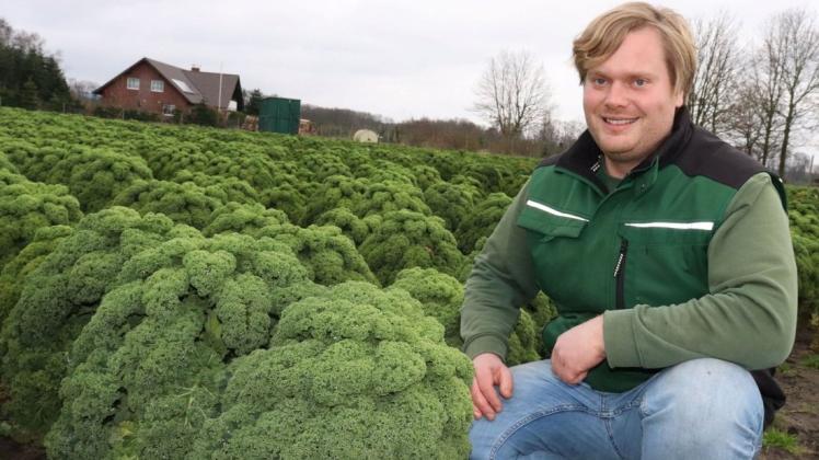 Grünkohl, soweit das Auge reicht: Der Versmolder Tim Fichter ist einer von nur noch wenigen Landwirten, die auf das Wintergemüse setzen.