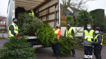 Mit Schwung in den Lastwagen: Mitglieder des Musikvereins Wiesenthal sammeln in Hagen die ausrangierten Weihnachtsbäume ein.