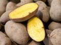 Kartoffeln sind nicht nur gesund und nahrhaft, sie überzeugen auch mit einigen weiteren versteckten Stärken. 
