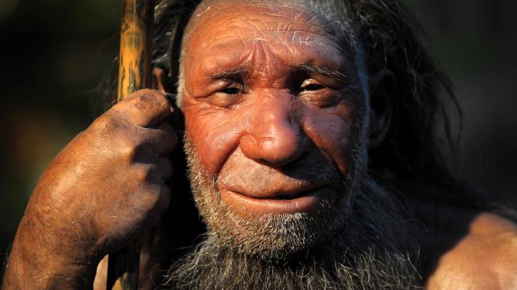 Neanderthaler veränderten die Natur um sie herum. 