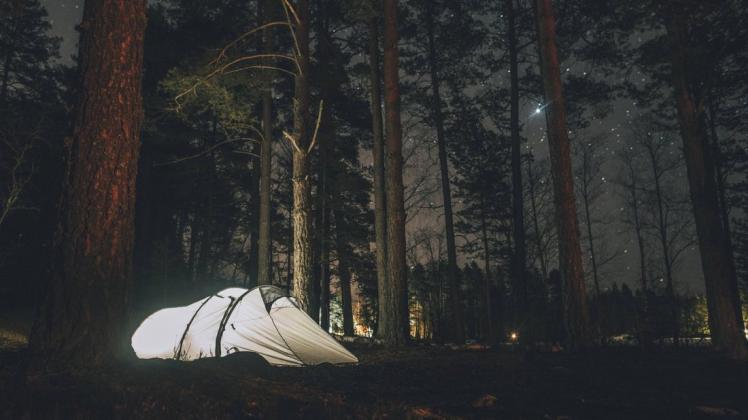 Wochenlang haben zwei Menschen in Belm im Wald gelebt und wussten nicht, wohin. Dann stand plötzlich ein Mann mit Hund vor ihrem Zelt. (Symbolbild)