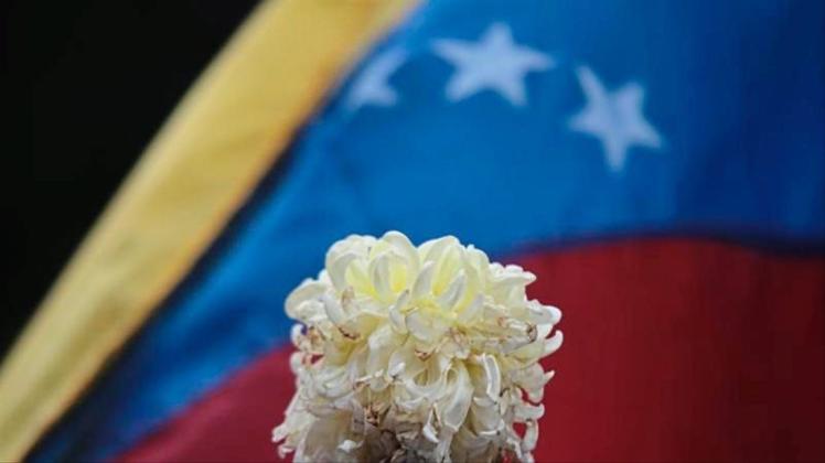 Eine verwelkte Blume vor der Flagge von Venezuela während eines Protestes gegen die Regierung. 