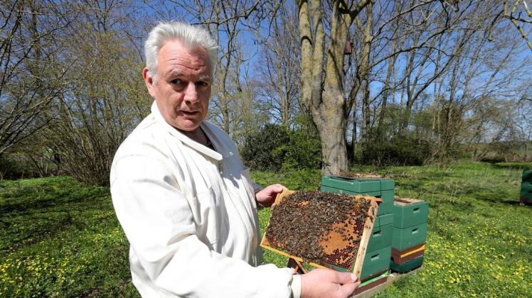 Carsten Fischer, Landesvorsitzender des Imkerverbandes, zeigt eine Bienenwabe.