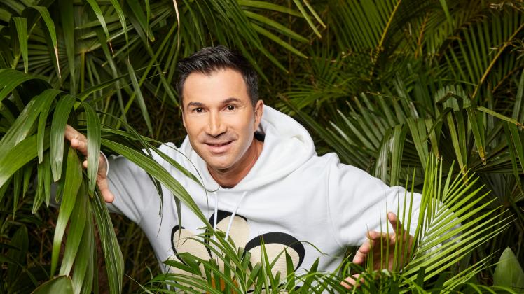 Lucas Cordalis fehlt beim RTL-Dschungelcamp.