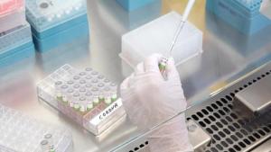 PCR-Tests werden knapp