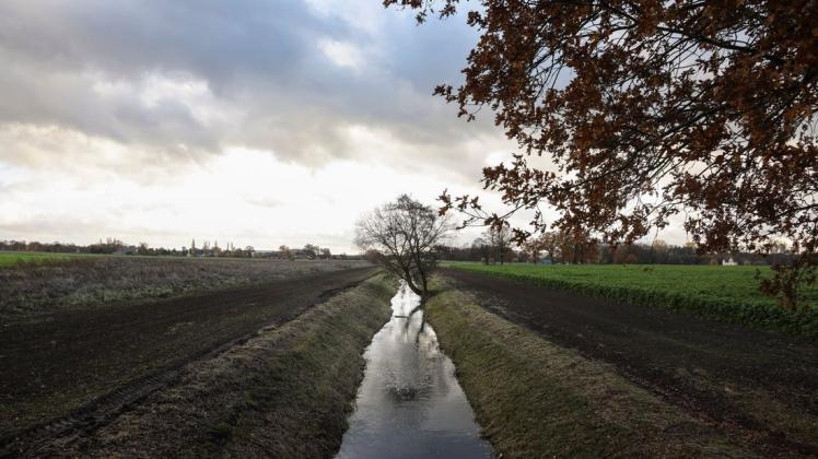 Einen zehn Meter breiten Gewässerrandstreifen hat die Gemeinde Bissendorf erworben und sieht es als ökologische Aufwertung, dass dieser Streifen an der Hase im Ortsteil Nemden nicht mehr landwirtschaftlich genutzt wird. Foto: Michael Gründel
