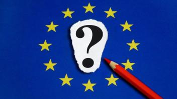 Testen Sie ihr Wissen rund um die Europawahl in unserem Quiz. Foto: imago/Steinach