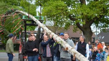 Wie auch im vergangenen Jahr will die Turnerschaft Hoykenkamp wieder einen Maibaum bei Menkens aufstellen. Archivfoto: Thomas Deeken